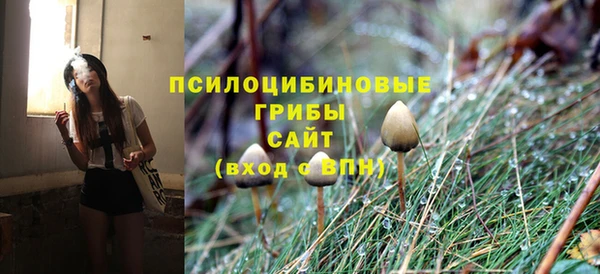 марки nbome Белокуриха