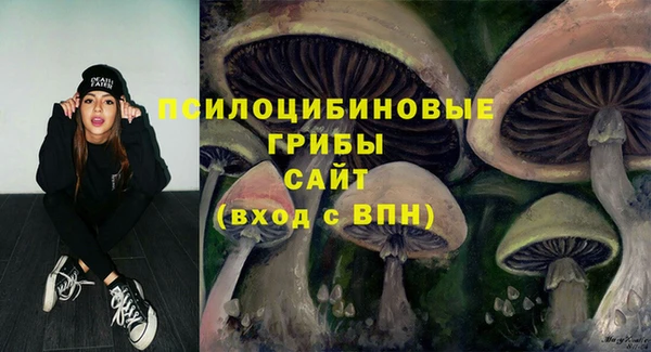 марки nbome Белокуриха