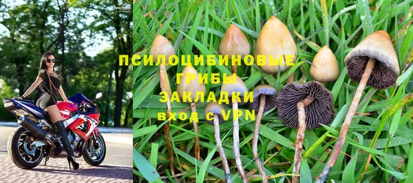 марки nbome Белокуриха