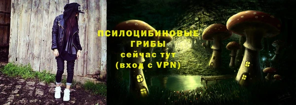 марки nbome Белокуриха