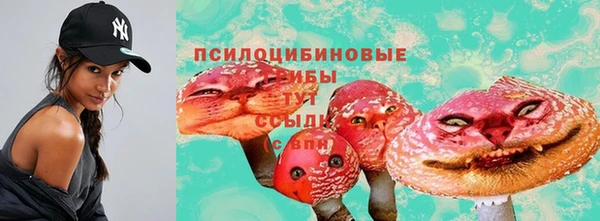 ALPHA PVP Беломорск