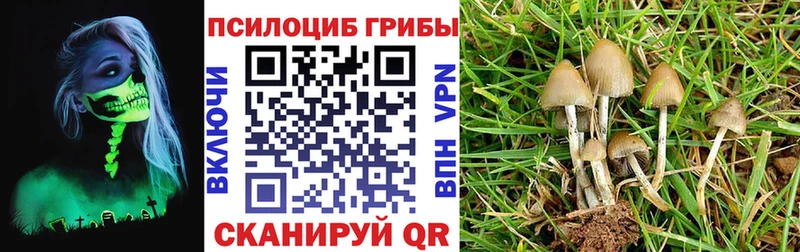 Галлюциногенные грибы MAGIC MUSHROOMS  где купить наркоту  mega ONION  Болгар 